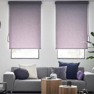 ロールスクリーン ロールカーテン 【ラルクシールド タチカワ