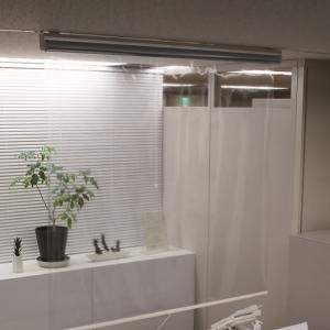 タチカワブラインド 【最大☆10%オフクーポン】 透明シート 透明ロール