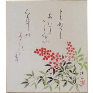 奥田廣尚 『南天福寿草』 掛軸(尺五立) 掛け軸 日本画 雀 花鳥 冬の