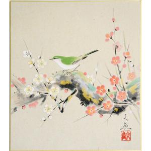 掛軸 松竹梅鶴亀 香泉画 (掛け軸 尺五立) 幅54cm×丈185cm : 大瑠堂