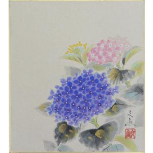 掛軸 松竹梅鶴亀 香泉画 (掛け軸 尺五立) 幅54cm×丈185cm : 大瑠堂