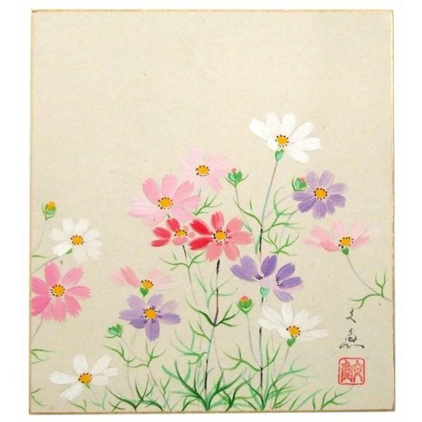 肉筆色紙　季節秋　コスモス　中谷文魚