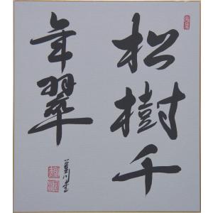 茶道具 掛軸 掛け軸 一行 青松多寿色又は一期一会又は松樹千年翠