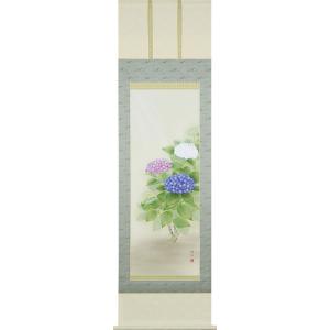 掛軸 (掛け軸) 夏用 紫陽花 鈴木優莉 尺五立 約横54.5cm×縦190cm p9645