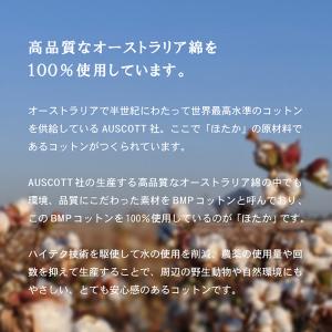 今治タオル ハンカチタオル 3枚セット リゾー...の詳細画像3