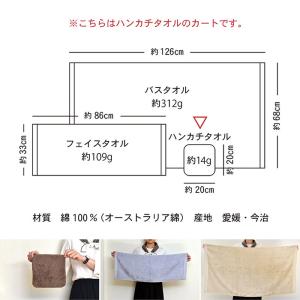 今治タオル ハンカチタオル 3枚セット リゾー...の詳細画像5