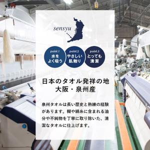 日本製 フェイスタオル 10枚セット 260匁...の詳細画像4