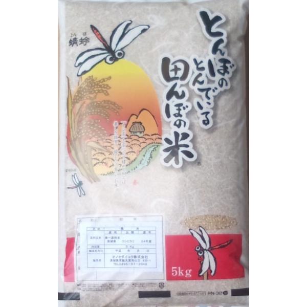 コシヒカリ 10kg お米 米  精米　特選 令和2年産 茨城県北産 送料無料