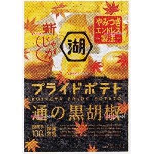 業務用菓子問屋GGxコイケヤ　５５Ｇ 湖池屋プライドポテト通の黒胡椒×24個【xw】【送料無料（沖縄は別途送料）】｜osaka