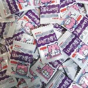 ソマチッド 100g 石タイプ 古代ソマチッド SOMACHI ソマチ 奇跡の鉱石