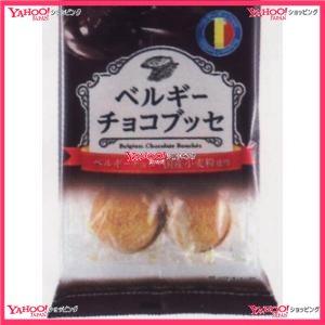 金城製菓 ベルギーチョコブッセ 入数:9
