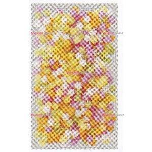 Kasugai 春日井製菓 R こんぺいとう 76g×12入 (金平糖 コンペイ糖