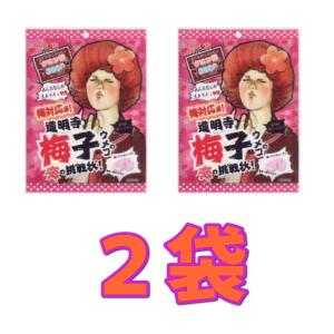 業務用菓子問屋GGxリボン　６０Ｇ 道明寺梅子の恋の挑戦状×2袋【xma】【メール便送料無料】｜osaka