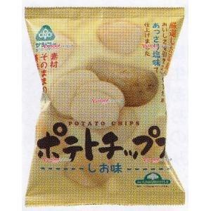 業務用菓子問屋GGxサンコー　６０G ポテトチップス しお味×16個【x】【送料無料（沖縄は別途送料...