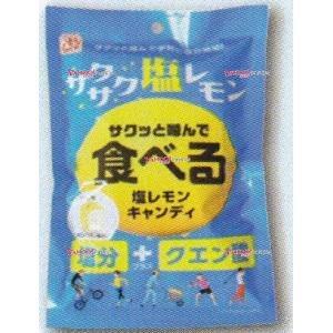 業務用菓子問屋GGx松屋製菓　８０Ｇ 食べる塩レモンキャンディ×40個【xws6】【送料無料（北海道...