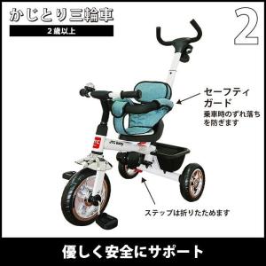 3in1 Tricycle(スリーインワン ト...の詳細画像2