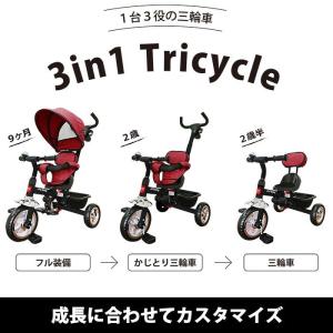 3in1 Tricycle(スリーインワン ト...の詳細画像5