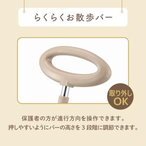 ナチュラルトライク ミッフィー&メラニー 三輪...の詳細画像3