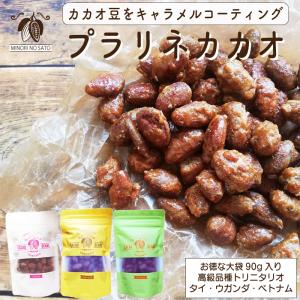 カカオ豆 プラリネカカオ 90g カカオ ポリフェノール100％ 産地別 タイ産　ベトナム産　ウガンダ産｜osakaminori