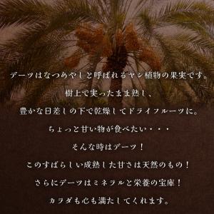 デーツ ナツメヤシ 無添加 砂糖不使用 サイヤ...の詳細画像2