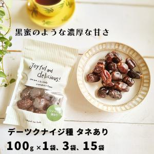 デーツ クナイジ種 100g 15袋  UAE産  無添加 砂糖不使用 非遺伝子組換 なつめやし ナツメヤシ 種あり タネあり スーパーフード｜osakaminori