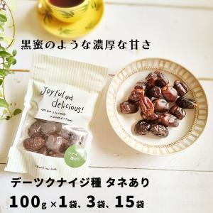 デーツ ナツメヤシ UAE産 無添加 砂糖不使用 クナイジ種 お試し 100g スーパーフード UAE産 なつめやし タネあり 芳醇なコク　ジッパー袋