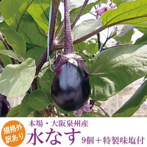 【訳あり】泉州の水なす 9個セット 水なす 浅漬け用塩付き・産地直送で新鮮！