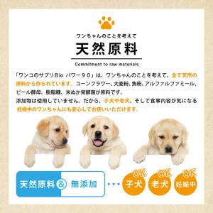 愛犬 ペット 犬 ワンコ 皮膚トラ ブル ただ...の詳細画像2