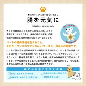 愛犬 ペット 犬 ワンコ 皮膚トラ ブル ただ...の詳細画像3