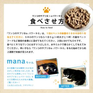 愛犬 ペット 犬 ワンコ 皮膚トラ ブル ただ...の詳細画像4