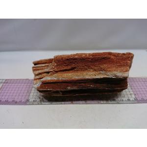 紅木化石（コウボッカセキ）　14ｃｍ前後一点もの