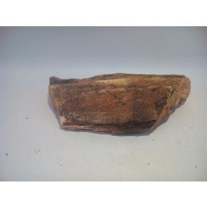 紅木化石（コウボッカセキ）　１4ｃｍ前後一点もの｜osakanasouko
