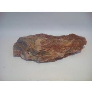 紅木化石（コウボッカセキ）　１5ｃｍ前後一点もの｜osakanasouko