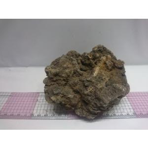 お魚倉庫 暗黒石 レイアウト用石 Yahoo ショッピング