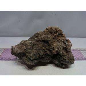 お魚倉庫 暗黒石 レイアウト用石 Yahoo ショッピング