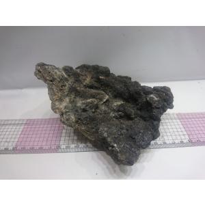 お魚倉庫 暗黒石 レイアウト用石 Yahoo ショッピング