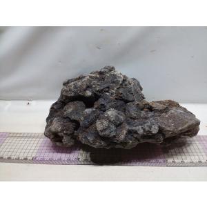 お魚倉庫 暗黒石 レイアウト用石 Yahoo ショッピング