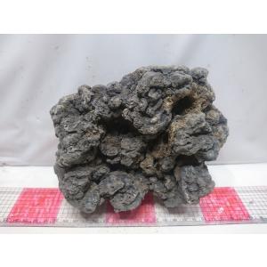 お魚倉庫 暗黒石 レイアウト用石 Yahoo ショッピング