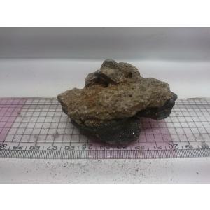 お魚倉庫 暗黒石 レイアウト用石 Yahoo ショッピング