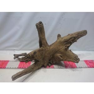 お魚倉庫 ブラックホーン レイアウト用流木 Yahoo ショッピング