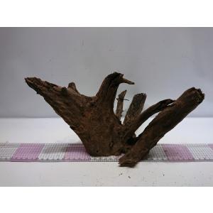 お魚倉庫 ブラックホーン レイアウト用流木 Yahoo ショッピング