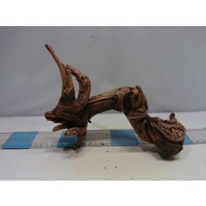 磨き枝流木プレミアムルートウッドlサイズ 33m 一点もの ウィルマート