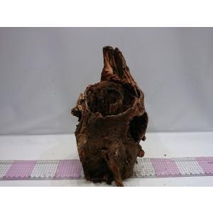 切り株流木 スタンプウッド　Mサイズ　24cm 一点もの