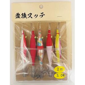 脇漁具 豊後スッテ仕掛け 7本 3.0号 3m : フィッシングトライ