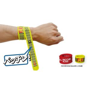 TICT 尺PACCHINSCALE - 尺パ...の詳細画像2