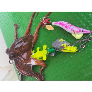 アシスト工房 タコの恋人 (和田虫【スリム】)...の詳細画像4