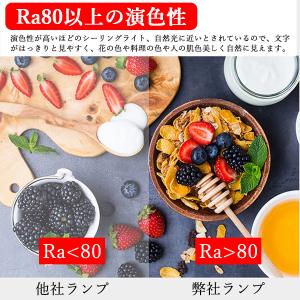 LED水銀ランプ 400W相当 水銀灯交換用 ...の詳細画像5