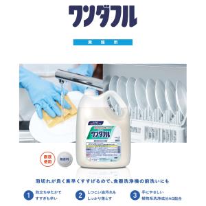 花王 ワンダフル 4.5L 業務用 正規品の詳細画像1