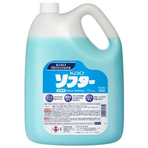 Kao（花王） 除菌タブレットハイター 120錠×8箱 業務用 正規品 : 洗剤