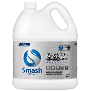 モデーア ランドリーパウダー 1.7kg 2個セット 洗濯用粉末洗剤 MODERE